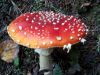 TaverneLeisnig_030