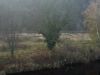 TaverneLeisnig_037