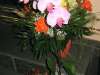 TaverneLeisnig_0180