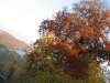 TaverneLeisnig_0243
