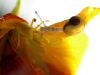 TaverneLeisnig_024