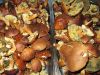 TaverneLeisnig_031