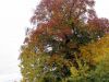 TaverneLeisnig_105