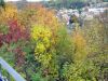 TaverneLeisnig_106