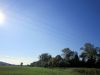 taverneleisnig_0001