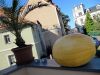 taverneleisnig_0013