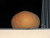 Taverne-Leisnig_076