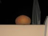 Taverne-Leisnig_077