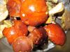TaverneLeisnig_023
