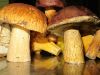 TaverneLeisnig_0076