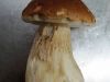 TaverneLeisnig_027