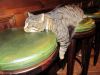 TaverneLeisnig_015