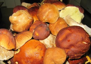 taverneleisnig_0006